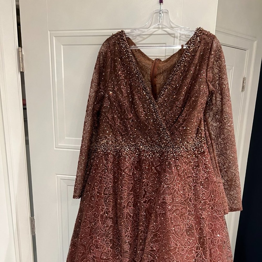 Women's Embellished Illusion Long Sleeve V Neck Gown - Chocolate Brown